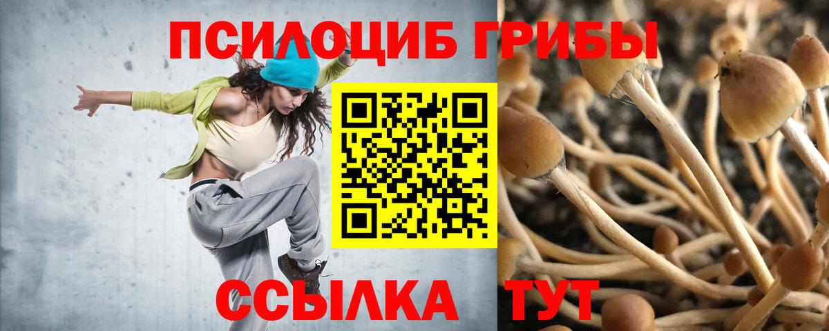 Кемерово  Галлюциногенные грибы GOLDEN TEACHER  Псилоцибиновые грибы Psilocybine cubensis  Вход с VPN 